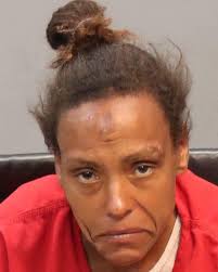 Danielle Messick Booking: 2/6/2021 8:10 AM * Possess Drug Paraphernalia *  Resist Public Officer