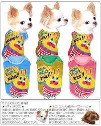 楽天市場】＼全品P10倍☆3/23 23:59まで／【犬 服 犬の服 春秋服 冬服用 名入れ】愛犬のお名前入り イースターラビット  シャツ【ドッグウェア 復活祭 Easter うさぎ エッグ チワワ ダックス トイプードル かわいい シーズー タムベディ】(S/3/N/H/) :  犬服専門店 ...