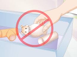 May 07, 2021 · get a hamster wheel to give your hamster exercise. How To Make A Hamster Playpen 14 Steps With Pictures Wikihow