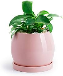Amazon Com Potey Ceramic Planter Flower Plant Pot 5 1 With Drain Hole Saucer Enough Space Modern Deco In 2020 Indoor Flower Pots Indoor Planters Ceramic Planters