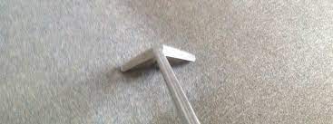 Maybe you would like to learn more about one of these? Carpet Cleaning Service Carpet Cleaners Howell Mi