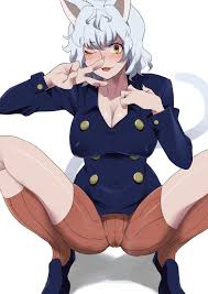 Rule34 - If it exists, there is porn of it  minakami, neferpitou  5007449