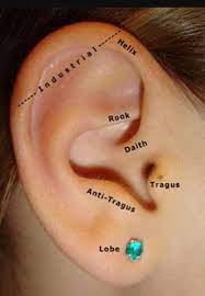 How Do You Clean A Daith Piercing Quora Types Of Ear Piercings Piercing Daith Piercing