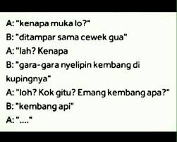 Kembang Api Lucu Kembang Api Api