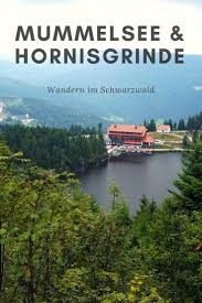 Mummelsee Und Hornisgrinde Wandern Im Schwarzwald Wandern Schwarzwald Schwarzwald Urlaub Reisen