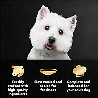 Cesar Mini-Pouch Filet Mignon Flavor Filets in Gravy Wet Dog Food