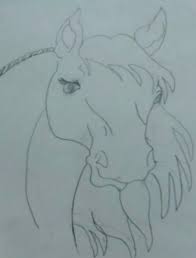 Collection of drawings of animals (43). Evil Horse Britney Lampers Drawings Illustration Animals Birds Fish Horses Artpal
