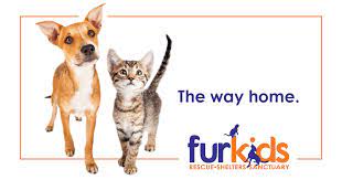 Search for a pet, rescue group or article. Atlanta S Largest No Kill Animal Shelter Rescue Dog Cat Adoption Furkids Georgia S Largest No Kill Animal Rescue Shelters