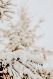 Here are some gorgeous christmas tree photos which you can use for your phone wallpaper, decor, or christmas postcard! ð˜±ð˜ªð˜¯ð˜µð˜¦ð˜³ð˜¦ð˜´ð˜µ ð˜¨ð˜¢ð˜£ð˜³ð˜ª Wallpaper Iphone Christmas Winter Wallpaper Christmas Aesthetic Wallpaper