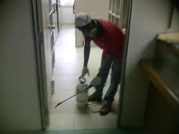Rai restaurant shah alam selangor. Mahkamah Shah Alam Januari 2019 Pest Control Selangor Facebook