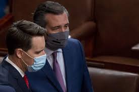 Hey ted cruz, can i stay at your place while your traveling to cancun? Sen Ted Cruz Says President Trump Was Irresponsible Bears Some Responsibility In Deadly Us Capitol Breach