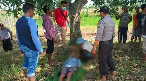 Isi info kelompok gangguan dan informasi permintaan waktu kunjungan, lampirkan foto jika diperlukan 9. Aksi Tak Terduga Kakek Bojonegoro Di Tower Listrik Bawa Akar Pohon Untuk Habisi Nyawa Sendiri Tribun Madura