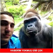 Hakkı bulut şarkıları hakkı bulut albümleri. En Komik Capsler Gulme Garantili Capsler Gelmis Gecmis En Komik Capsler Haberler Haberler Com