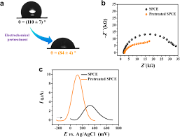 ,len jedna teta z trnavy povedala.čas vsetko nakoniec ukaže,myslim ze hlavne sa musime dostať z týchto srač.k ,do ktorych nas tato vlada dostala a o to by malo ist vsetkym. Screen Printed Electrodes Modified With Carbon Black And Polyelectrolyte Films For Determination Of Cancer Marker Carbohydrate Antigen 19 9 Springerlink