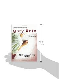 For camel iii to really work, there have to. The Afterlife Amazon Com Br