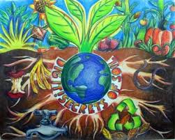 Pin On Conservation