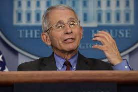 His research focuses on innovative applications of stereotactic body radiation therapy (sbrt). Coronavirus Dr Fauci On Why Television Baseball Could Work Los Angeles Times