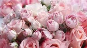 Autentic music, big man impex, amma record, grand production bursuc, vip music, play music. Skachat Anisoara Puica Toate Florile Din Lume Smotret Onlajn