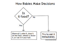 A Flowchart Showing How Babies Decide Whether An Object Is