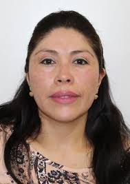 Ingresos de Otorongos Elecciones 2022