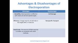 (a) time courses for animals were selected to. Transfection Basics Principle Mechanism And Optimization Of Mammalian Cell Transfection Youtube