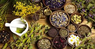 Modern Herbal Medicine in Urdu - Jadid herbal Adwiyat
