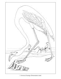You can search images by categories or posts, you can also submit more pages in comments below the posts. John James Audubon Birds Coloring Book