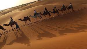 The sahara desert surrenders very few realities, only illusions. The Sahara The Camel And The Caravan Trade Open Ended Social Studies
