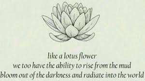 Explore lotus quotes by authors including sai baba, zhou qunfei, and martin yan at brainyquote. Lotus Blossom Quotes