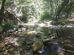 Wheeler gorge campground is a great place for families to explore the los padres national forest all year long. Along The Picture Of Wheeler Gorge Campground Ojai Tripadvisor