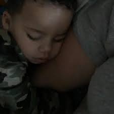 Profile for Lollipop Bungalow