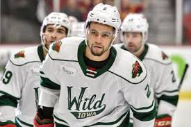 Iowa Wild Vs Grand Rapids Griffins Wells Fargo Arena