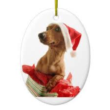 Maybe you would like to learn more about one of these? Dachshund Christmas Ornament In Santa Hat Dachshund Dog Lover Gifts Pet Home