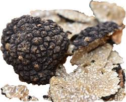 Schwarzer Truffel Tuber Uncinatum Food Chocolate Cookie Chocolate
