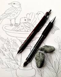 Bird In Bird Bath Drawing Pin On Artist Journals Sketchbooks