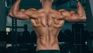 On the back side, there are various options designed to work out your lats and other back muscles. How To Increase Your Muscle Definition Men S Journal