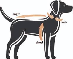 Sizing Charts Fabdog Inc