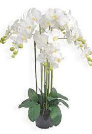 Branche d'orchidée artificielle phaelaenopsis blanc h49cm. Fleurs En Pot Orchidee Artificiel Blanche 90cm Artificielflower
