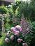 Layout Cottage Garden Design