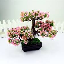 Here you can buy your indoor bonsai. 43 Pink Bonsai Trees