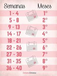 Calculadora Gestacional De Semanas Para Meses Embarazo Semana A Semana Contiene Toda La Informacion Que Necesitas Sobre Tus 9 Meses De Embarazo Ex Embarazo Consejos Para El Embarazo Sintomas De Embarazo
