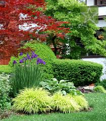 Simple And Elegant Combination Of Siberian Iris Large Hosta And Japanese Forest Grass Kaaren Frantzen G Backyard Landscaping Landscape Design Yard Landscaping