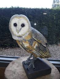 My 16 year old son hunter carved this owl completely by him self. Great  job👍