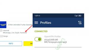 Paket kuota gratis 2gb/ hari . Config Openvpn Xl Turbo Woiden