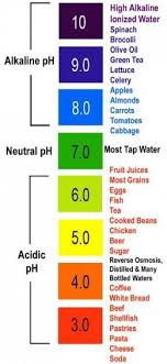 Here Is A Picture Of The Pral Scale With Some Example Foods