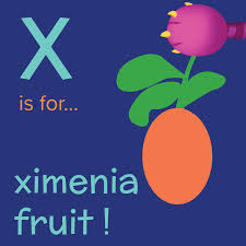 Image result for Ximenia