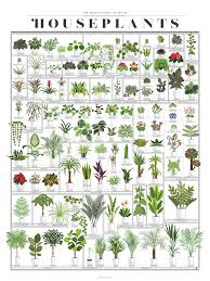 The Horticultural Chart Of Houseplants In 2020 Common House Plants Plant Decor Indoor Plants