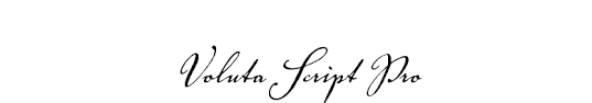 Just click to download button. Fontsmarket Com Download Voluta Script Pro Font For Free