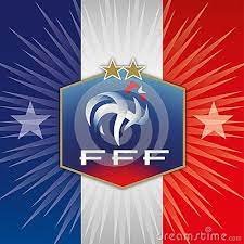 Retrouvez l'actualité de la ligue de football professionnel, présentation, procès verbaux, status et règlements, calendriers, dncg. France Flag And Coat Of Arms Of Football Federation Vector Illustration Russia 2018 France Flag France Coat Of Arms