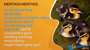 Maybe you would like to learn more about one of these? Menthog Menthog Lagu Basa Jawa Kelas 1 Youtube